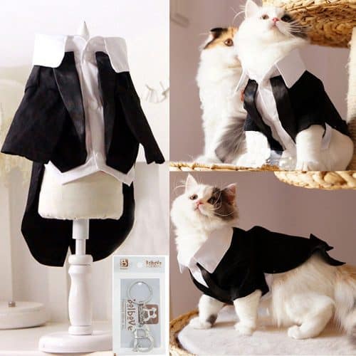 best halloween costumes for cats