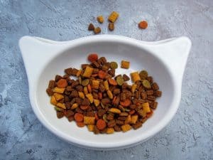 What Can A Hyperthyroidic Cat Eat | Fluffy Kitty 4