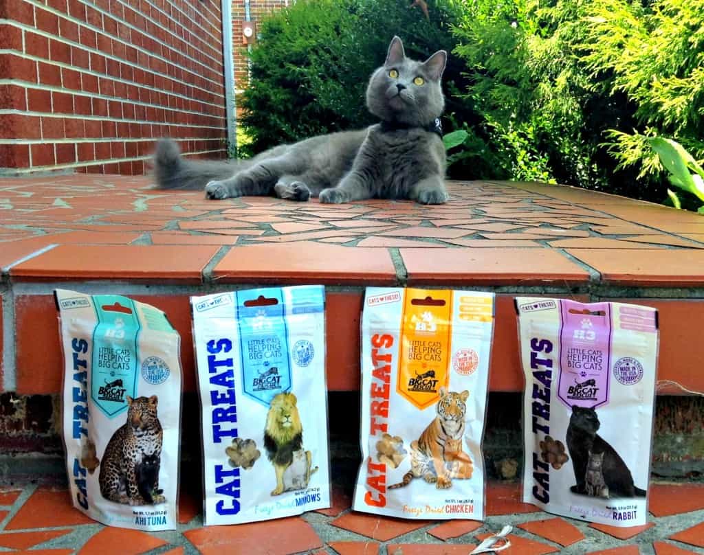 yoda and his treats