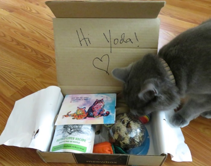 meowbox review