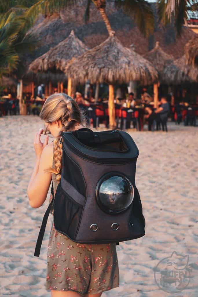 Fat Cat Backpack Review by Fluffy Kitty Blog