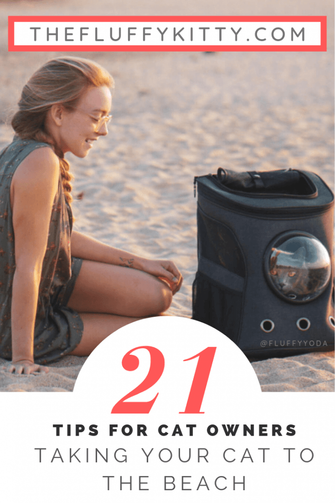 21 Tips for Taking Your Cat to the Beach | Fluffy Kitty thefluffykitty.com