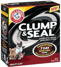 Best Cat Litter for Odor Control | Fluffy Kitty