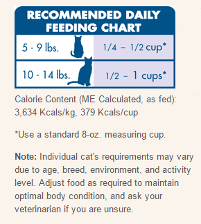 Cat nutrition - Fluffy Kitty