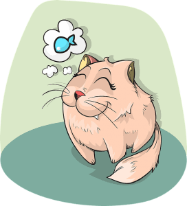 Purina One Cat Food Review | Fluffy Kitty