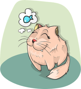Best Cat Treats | Fluffy Kitty