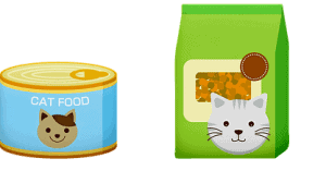 Food Cats Can't Eat | Fluffy Kitty