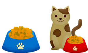 Cat Food | Fluffy Kitty