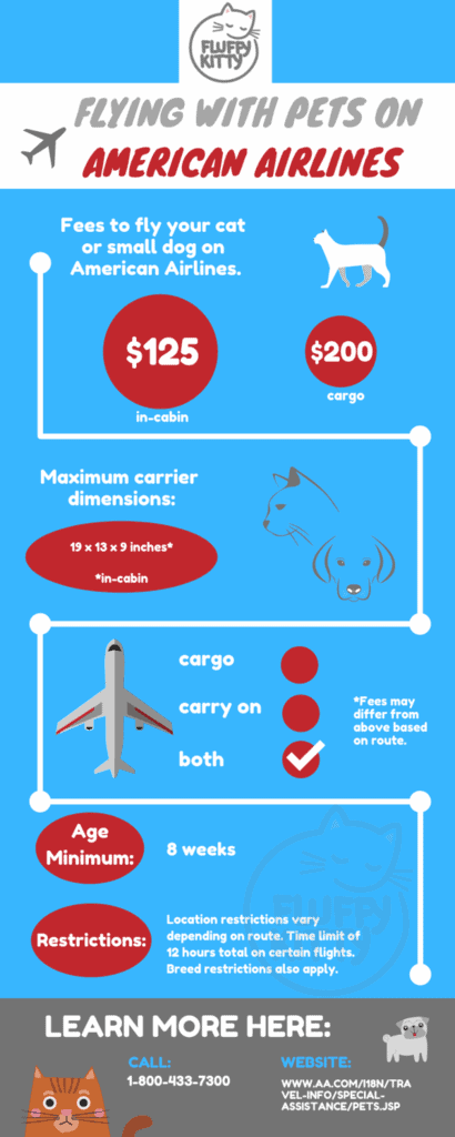 Best Airlines for Cats | Fluffy Kitty