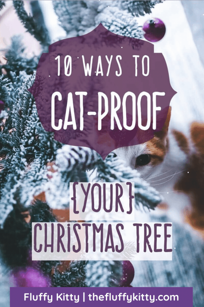 10 Ways to Cat-Proof Your Christmas Tree | Fluffy Kitty