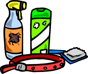 homemade flea spray for cats