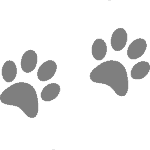Paw Prints