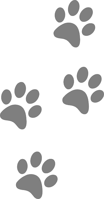 Paw Prints