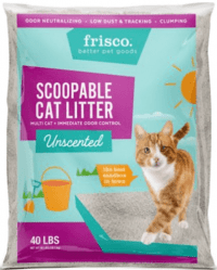 Best Cat Litter for Odor Control | Fluffy Kitty