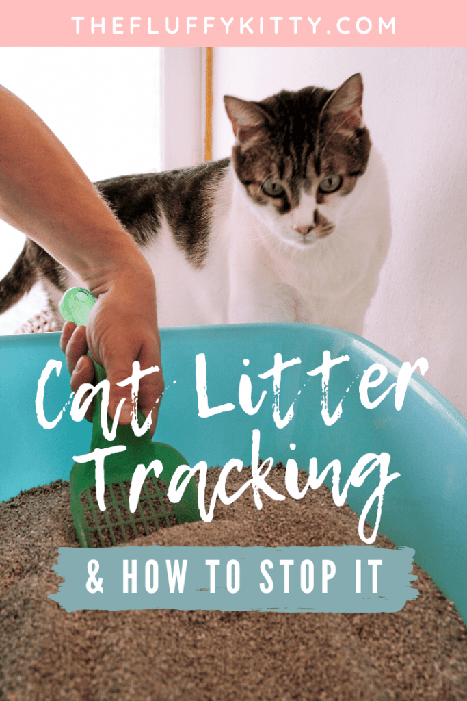 How to Stop Your Cat from Tracking Litter Everywhere #catlitter #cats #catlitter #cats Guide by Fluffy Kitty www.thefluffykitty.com