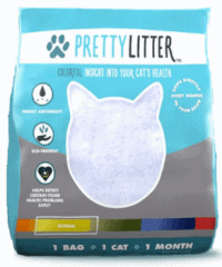 Best Cat Litter for Odor Control | Fluffy Kitty