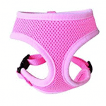 2nd choice harness