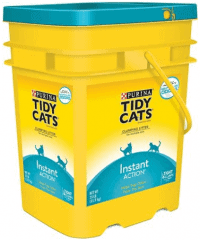 Best Cat Litter for Odor Control | Fluffy Kitty