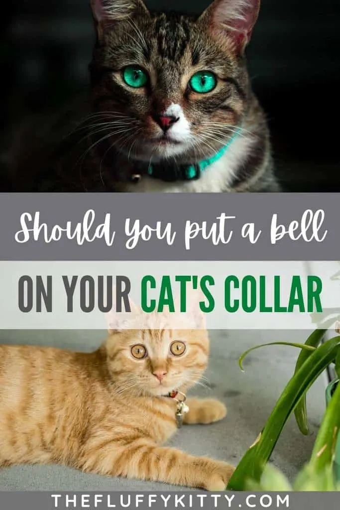 Should I put a bell on my cat's collar pin 2