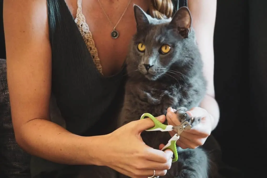 Shiny Pet Nail Clippers for Cats and Small Pets | Fluffy Kitty