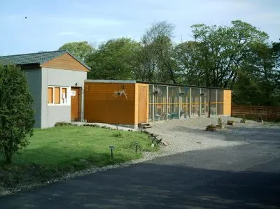 how to choose a cattery