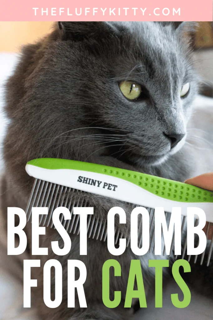 How to brush your cat at home using the Shiny Pet pet comb. | The Fluffy Kitty