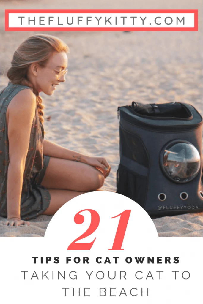 21 Tips for Taking Your Cat to the Beach | Fluffy Kitty thefluffykitty.com