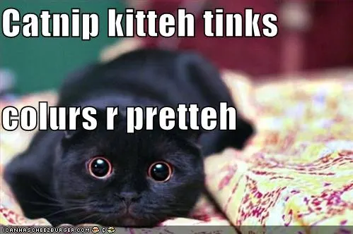 What does catnip do to your cat