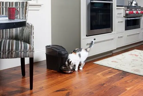 Petsafe Health Pet Simply Feed Automatic Feeder | FK