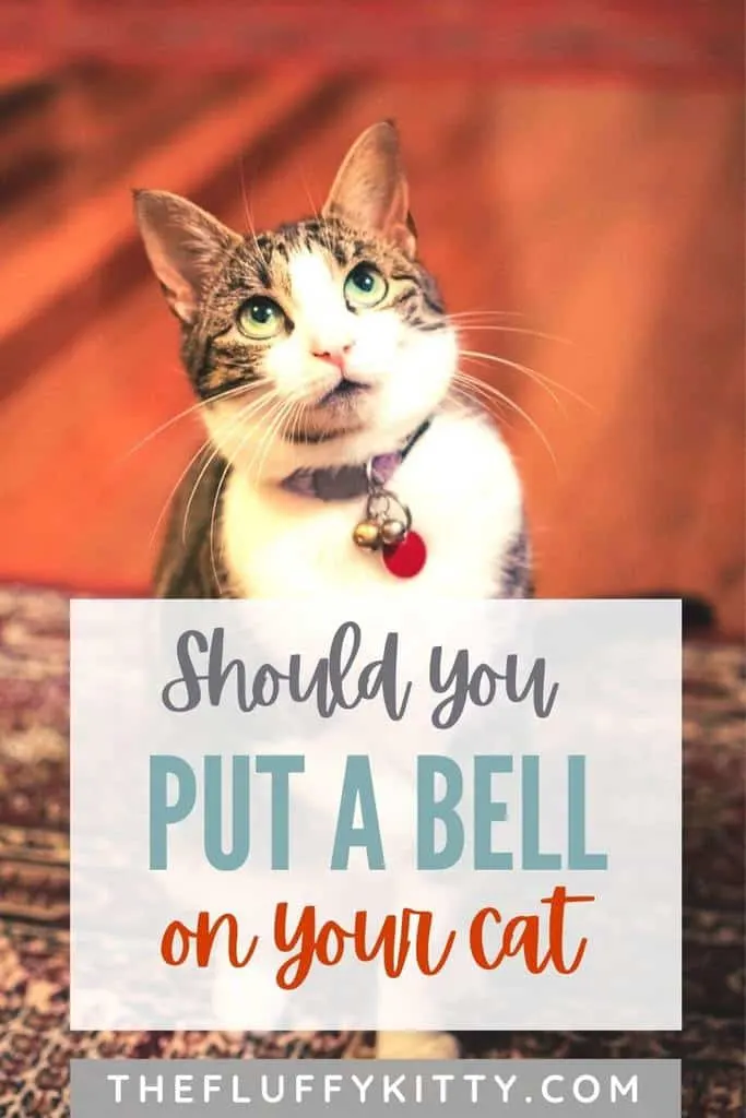 Should I put a bell on my cat's collar pin 1