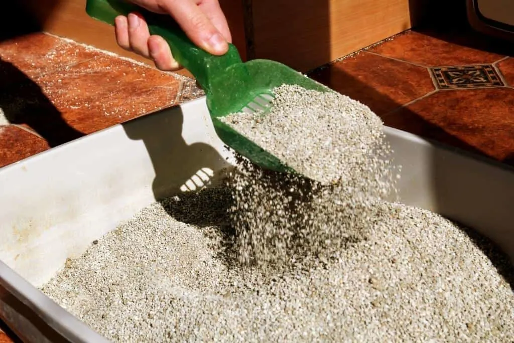 is breathing cat litter dust harmful