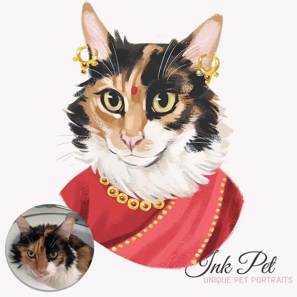 Ink-Pet Personalized Pet Portrait | Fluffy Kitty