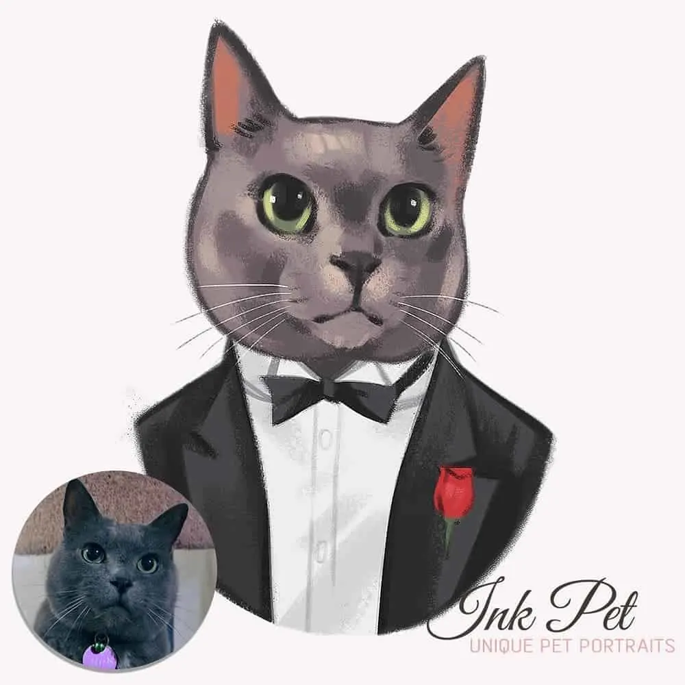 Ink-Pet Personalized Pet Portrait | Fluffy Kitty