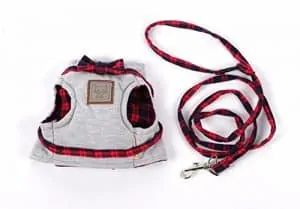 Best Cat Harnesses | Fluffy Kitty