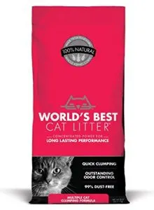 Best Natural Cat Litter Compilation 2018 | Fluffy Kitty
