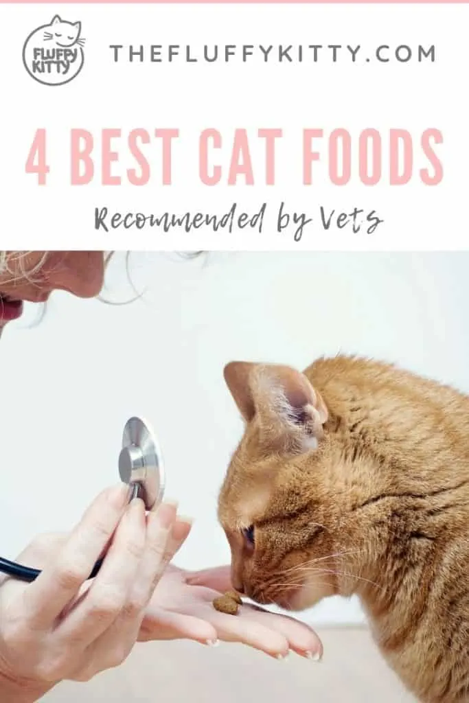 4 Best Vet Recommended Dry Cat Food Brands | Guide by The Fluffy Kitty www.thefluffykitty.com 
