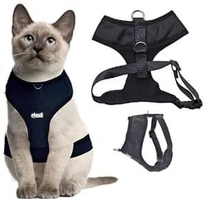 Best Cat Harnesses