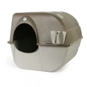 Best Self Cleaning Cat Litter Box | Fluffy Kitty