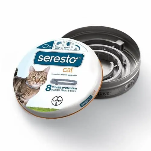 Seresto Cat Collar Review | Fluffy Kitty