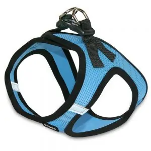 Best Cat Harnesses | Fluffy Kitty