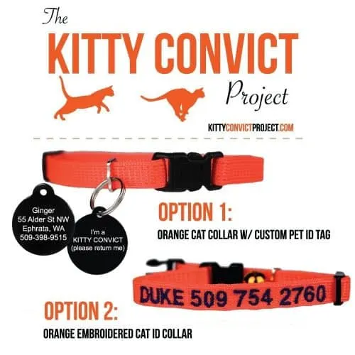 cat collar