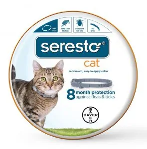 Why Does My Cat Have Scabs? Fluffy Kitty | Best Flea Collar for Cats