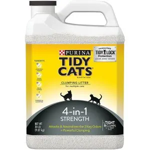 The Best Clumping Cat Litter | Fluffy Kitty