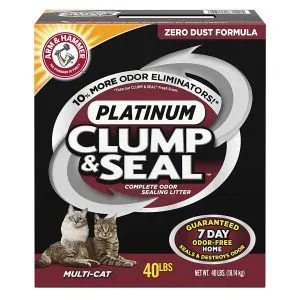 The Best Clumping Cat Litter | Fluffy Kitty