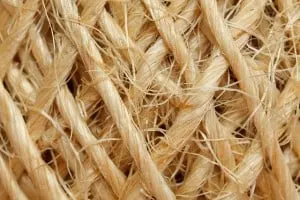 sisal scratching post