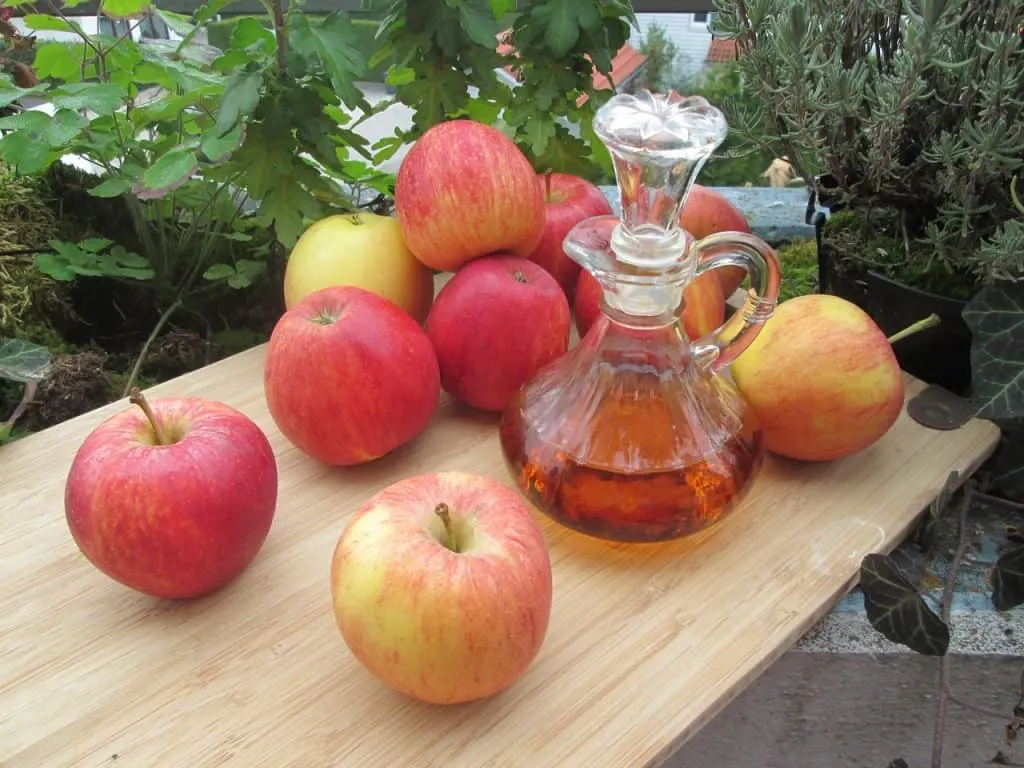 Can cats drink vinegar? Apple cider vinegar for cats