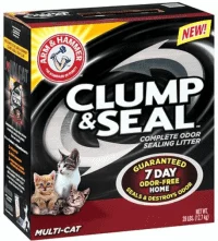 Best Cat Litter for Odor Control | Fluffy Kitty