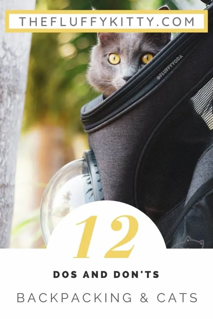 How to Backpack with a Cat - The Dos and Don'ts of Backpacking with Cats #cats #catbackpack #catlovers #adventurecats - The Fluffy Kitty www.thefluffykitty.com