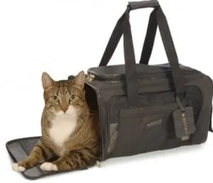 best cat carrier