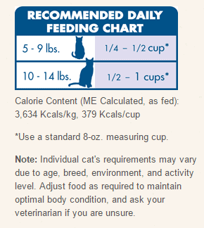 Cat nutrition - Fluffy Kitty